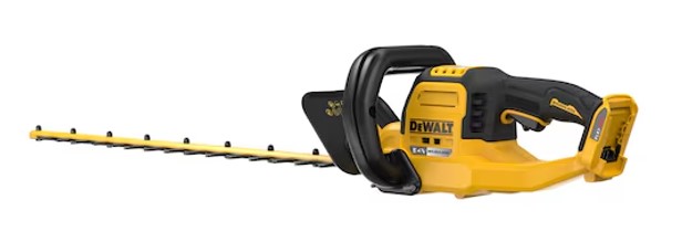 Immagine 2025-01-08 112127